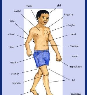 Dakota Language Body Poster