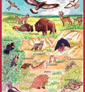 Dakota Language Plains Poster